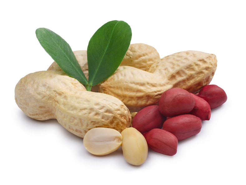 Arachis Peanut ,Dried Kernel Peanuts Groundnut Raw/Fresh Red Skin arachis for Sales
