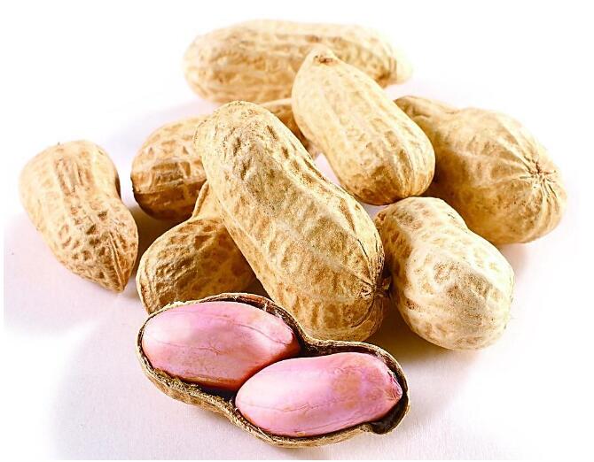 Arachis Peanut ,Dried Kernel Peanuts Groundnut Raw/Fresh Red Skin arachis for Sales