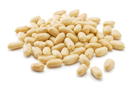 Arachis Peanut ,Dried Kernel Peanuts Groundnut Raw/Fresh Red Skin arachis for Sales