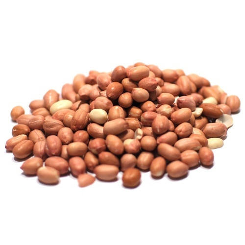 Arachis Peanut ,Dried Kernel Peanuts Groundnut Raw/Fresh Red Skin arachis for Sales