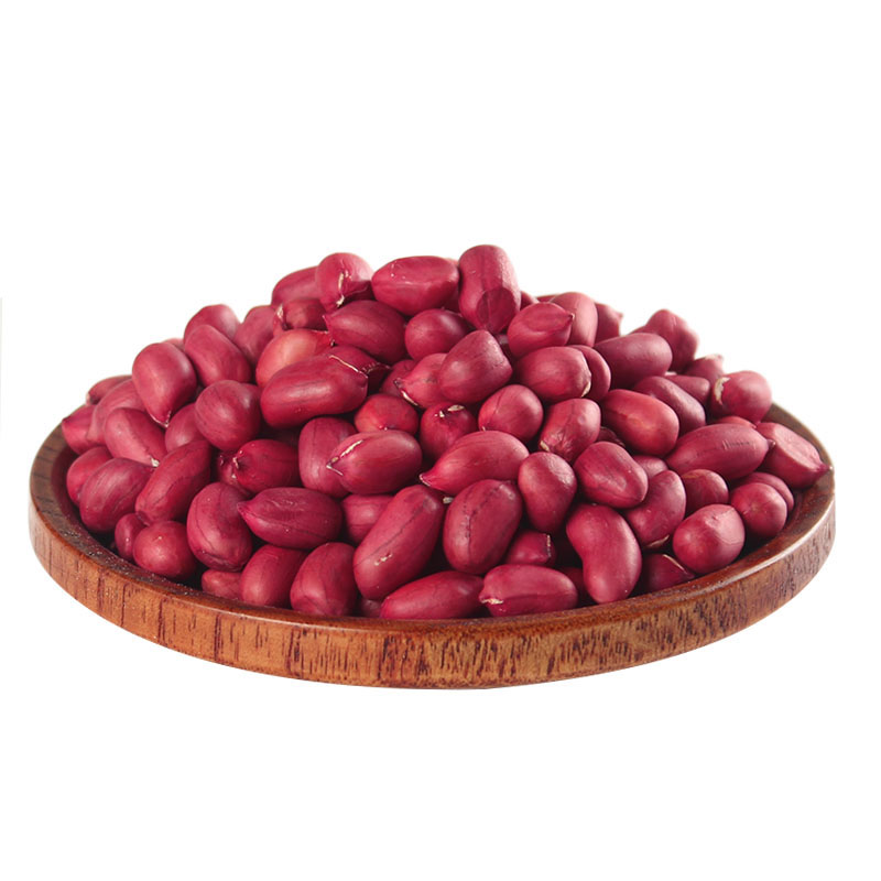 Arachis Peanut ,Dried Kernel Peanuts Groundnut Raw/Fresh Red Skin arachis for Sales
