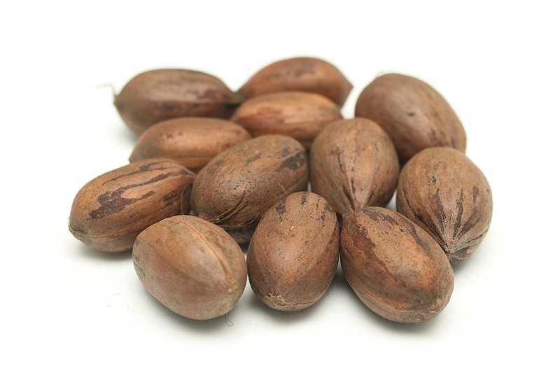 Organic Pecan Nut Roasted Salted Pecans/Raw Pecan Nuts With Shell for sale