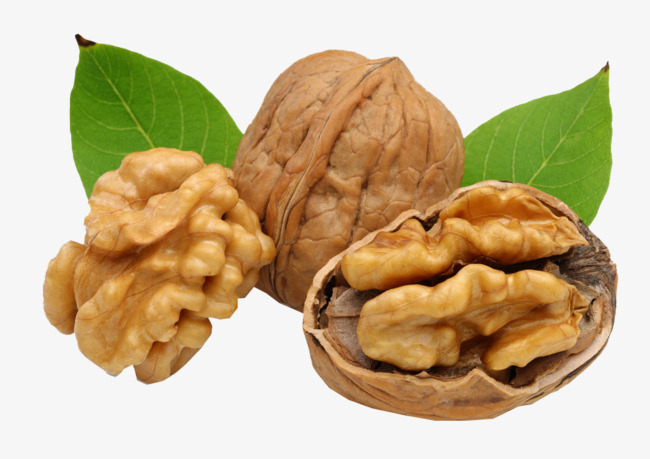 Organic Pecan Nut Roasted Salted Pecans/Raw Pecan Nuts With Shell for sale