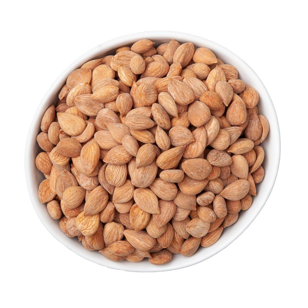 Wild bitter almond bitter apricot kernels,Thailand price supplier - 21food