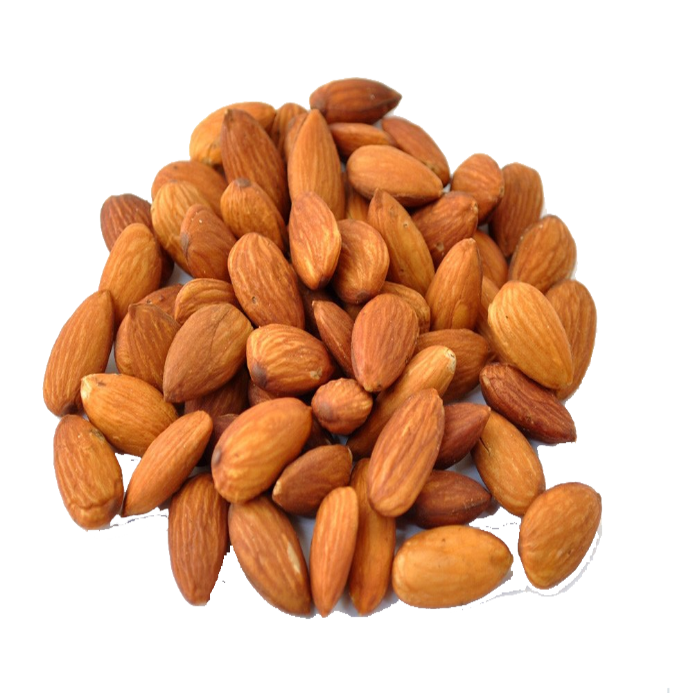 Apricot Kernels , Pakistan Wild Apricot Kernels , Sweet Raw Apricot