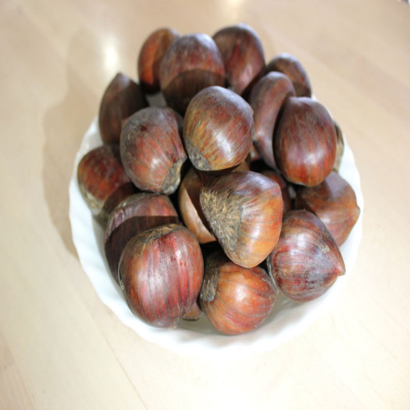 Fresh Raw Sweet Edible Chestnut In Shell products,Thailand Fresh Raw Sweet Edible Chestnut In 