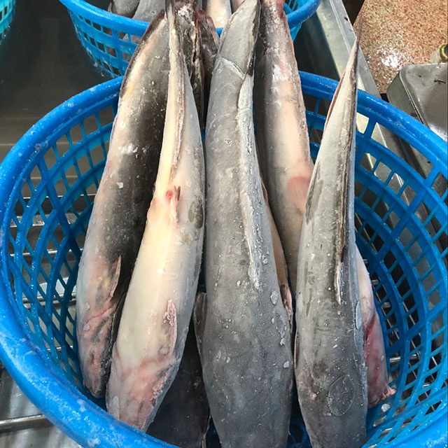 Frozen catfish exporters from China wholesale