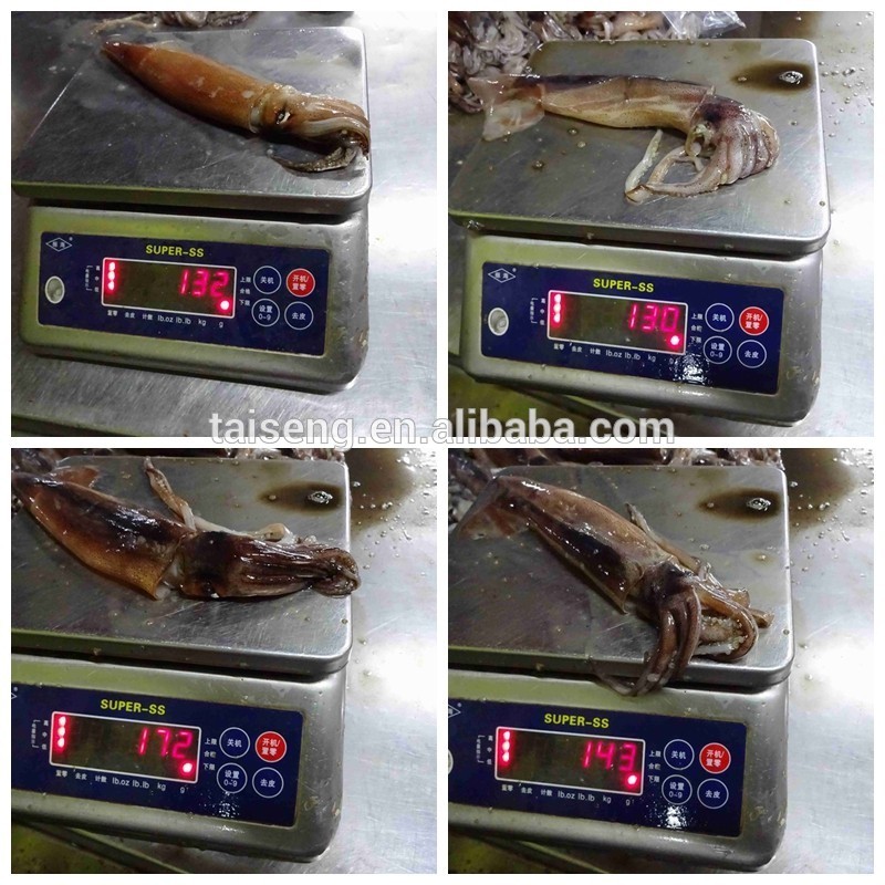 Best Sea Frozen Squid fishing Bait,China price supplier - 21food