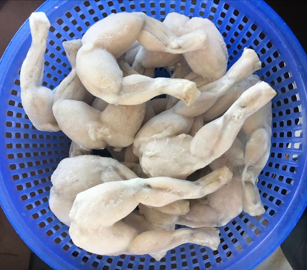 High Quality Frozen Frog legs For Sale,China price supplier - 21food