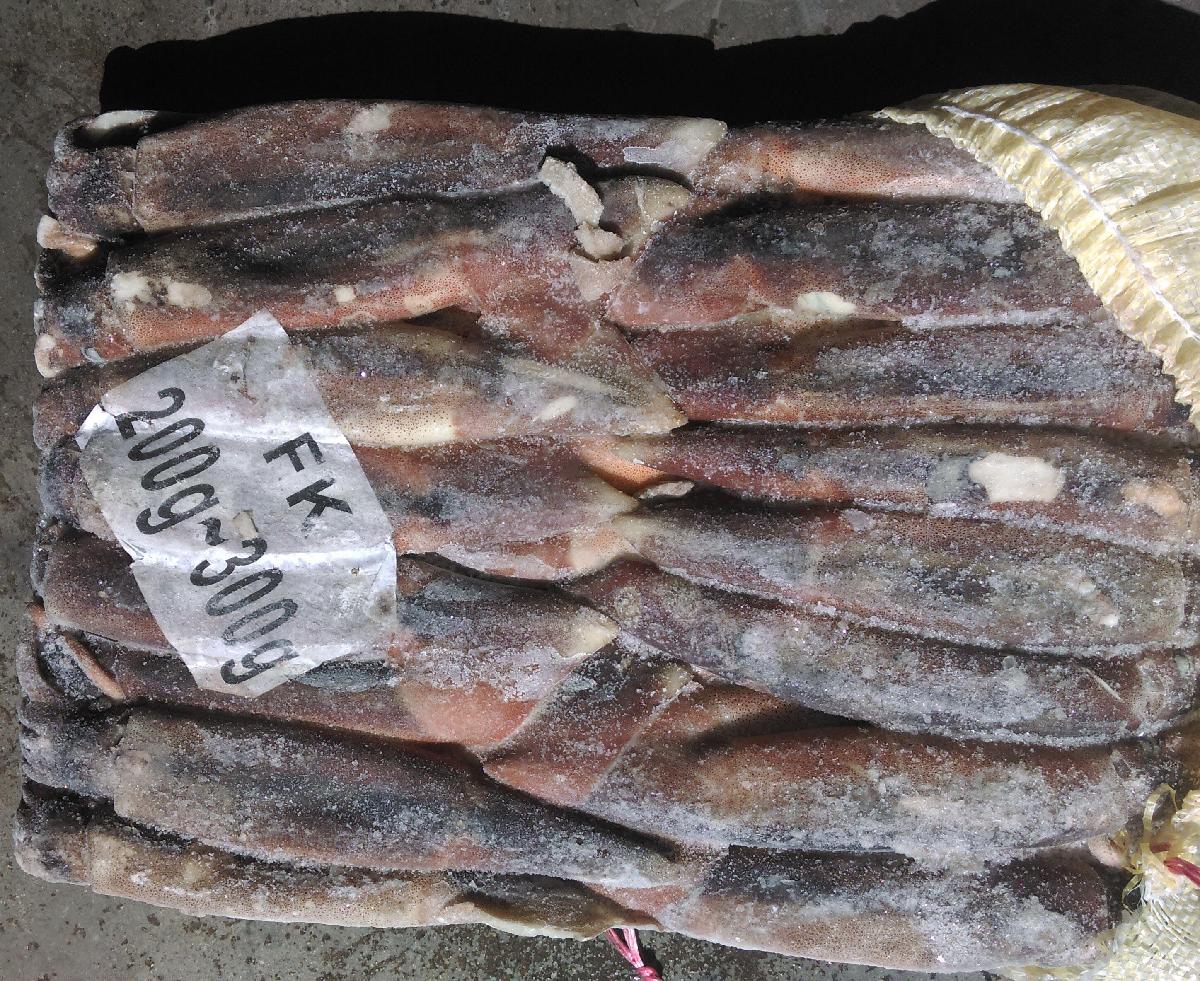 Best Sea Frozen Squid fishing Bait,China price supplier - 21food