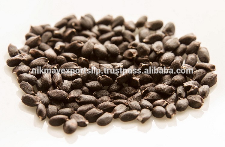 BEST QUALITY BASIL SEED ORIGIN INDIA FROM NIK MAY EXPORTS India