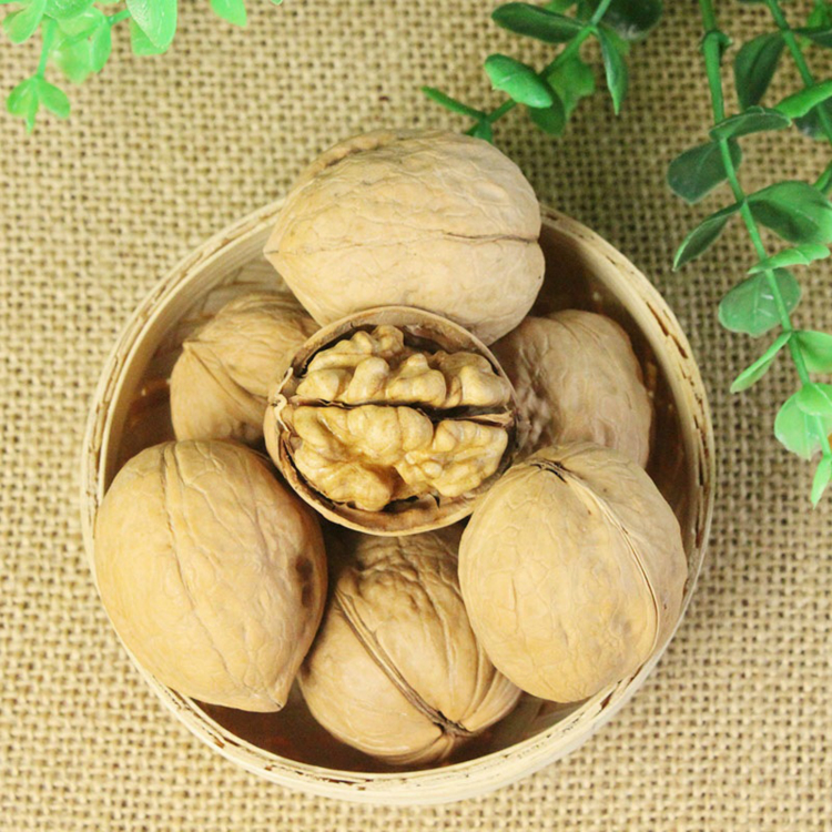 Raw walnut kernels export