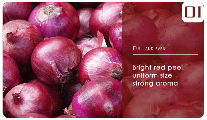 Top Grade Fresh Red Onion For Sale