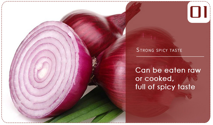 Dry Food Red Onion Importers Fresh Vegetables Onion Price Ton for Buyers