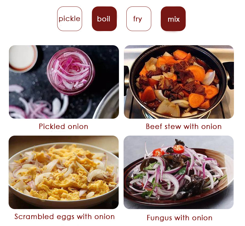 Hot selling red onion fresh wholesale with market price