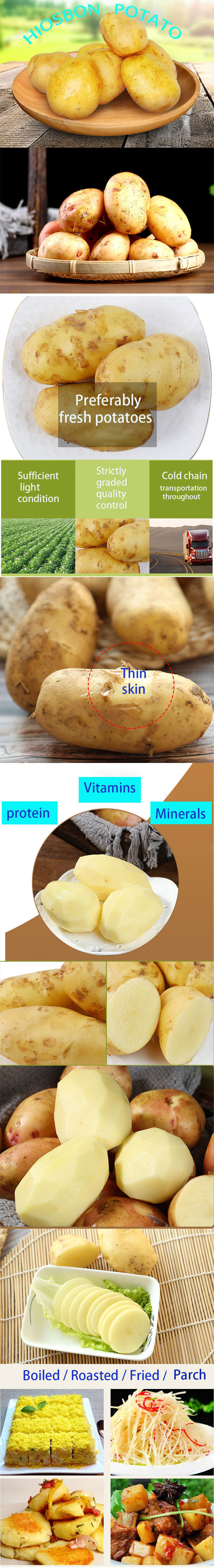 China fresh potatoes export wholesale at the best price