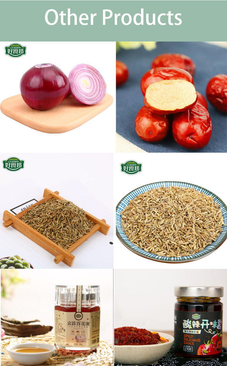 China fresh potatoes export wholesale at the best price