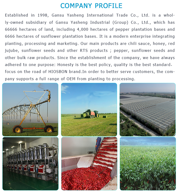China fresh potatoes export wholesale at the best price