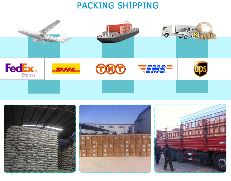China fresh potatoes export wholesale at the best price