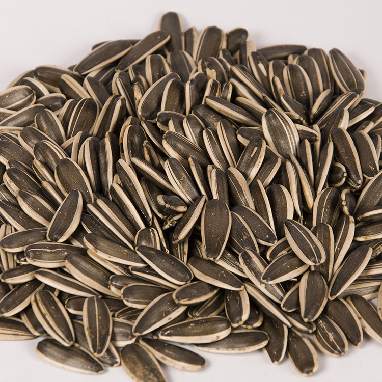 Sunflower Seeds Chinese Raw Black Sunflower Seeds 363 361 601 Wholesale