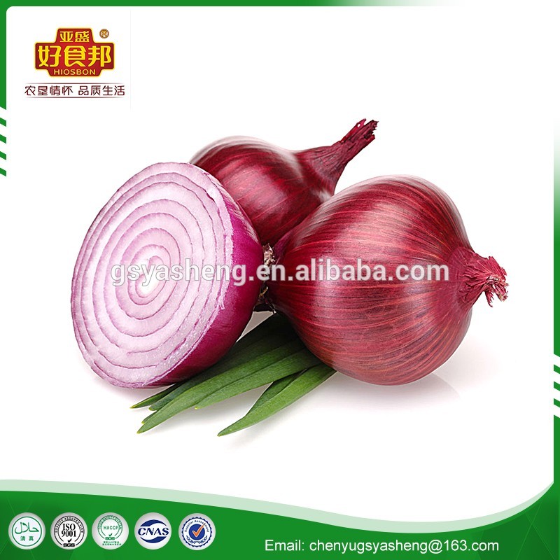 high quality China fresh red onion price