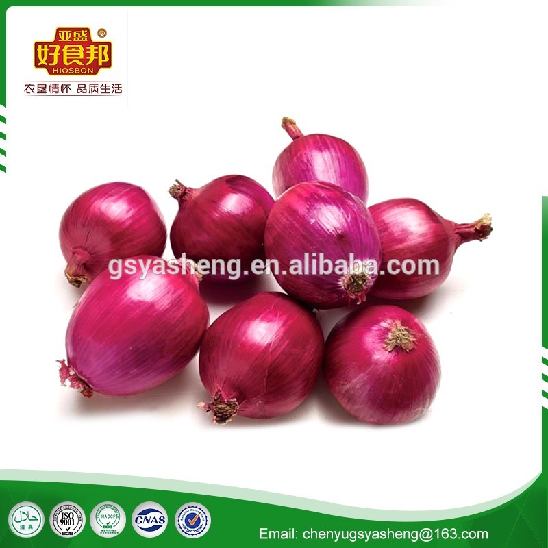 high quality China fresh red onion price