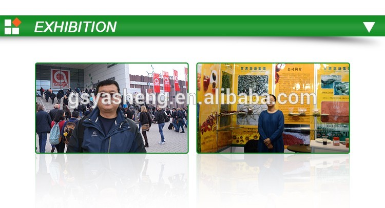 high quality China fresh red onion price