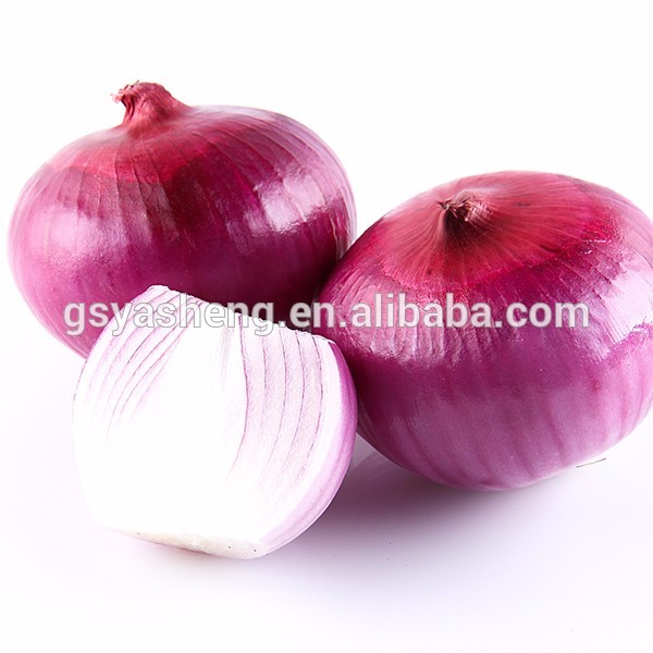 Special grade fresh red onion wholesale