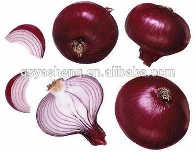 Special grade fresh red onion wholesale
