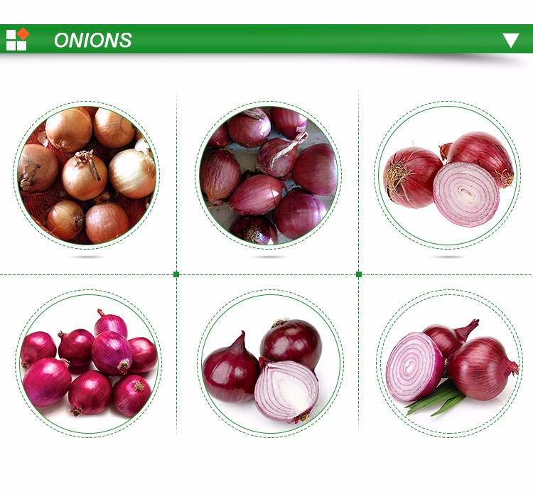 Special grade fresh red onion wholesale