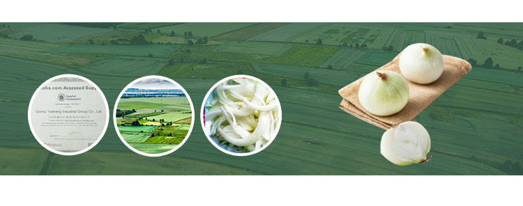 fresh onion and garlic with best price and fresh onion wholesale