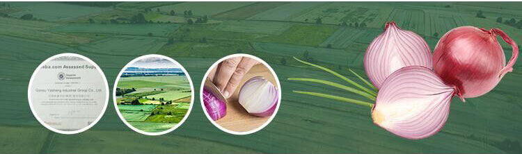 best onion fresh red onions