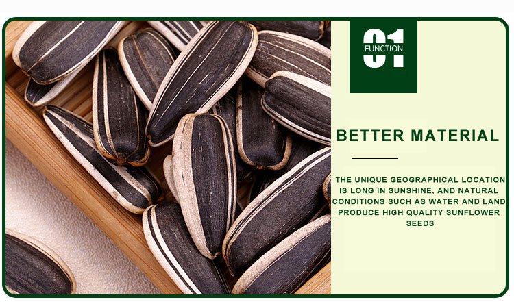 Market Price Export High Quality Large Size Sunflower Seed 601