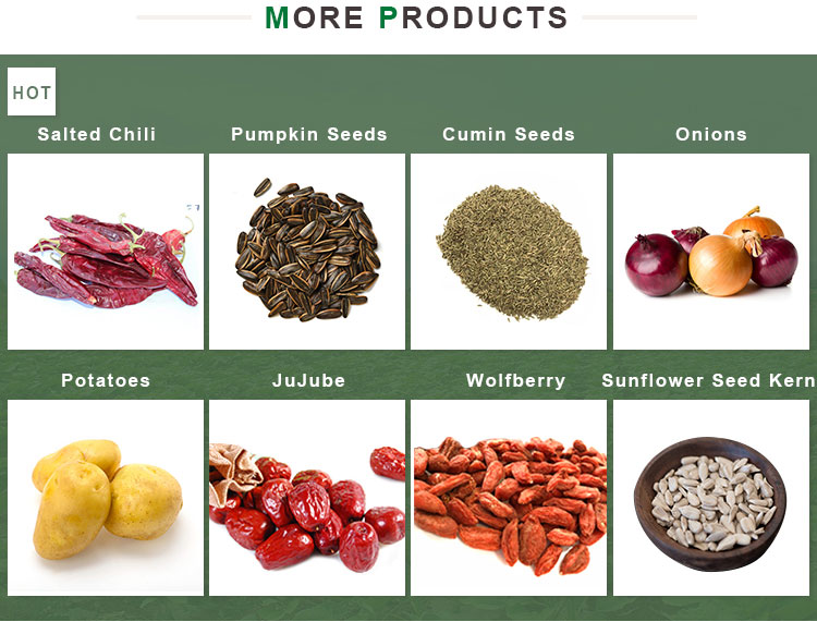 Market Price Export High Quality Large Size Sunflower Seed 601
