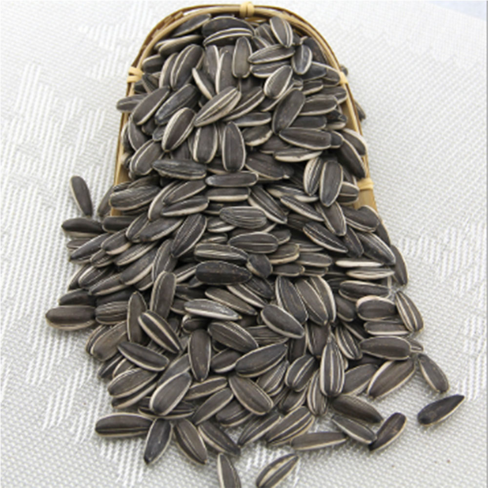 Wholesale Chinese Best Raw Sunflower Seeds 363 with good price,China ...