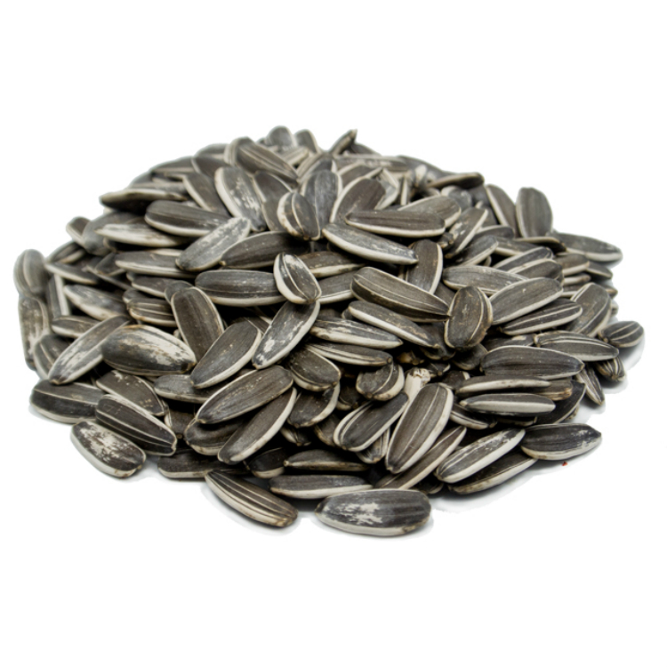 Hot selling chinese top quality sunflower seeds 363!,China price ...