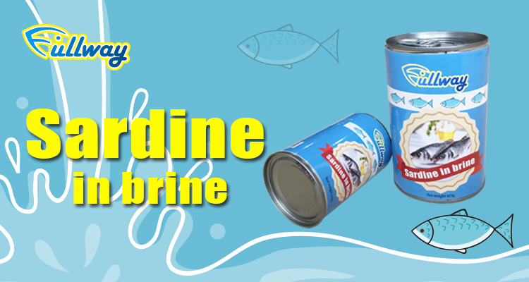 chinese canned sardine in brine