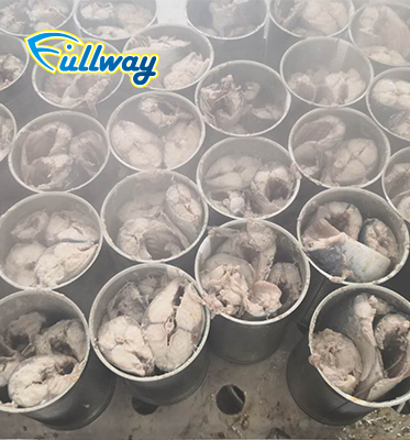 chinese canned sardine in brine
