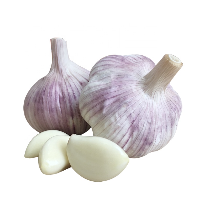2020 Fresh Natural Garlic Fresh Chinese Garlic Price Precio del AJO