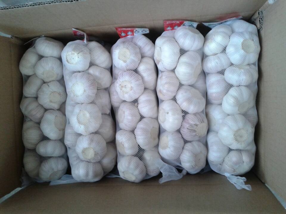 2020 Fresh Natural Garlic Fresh Chinese Garlic Price Precio del AJO
