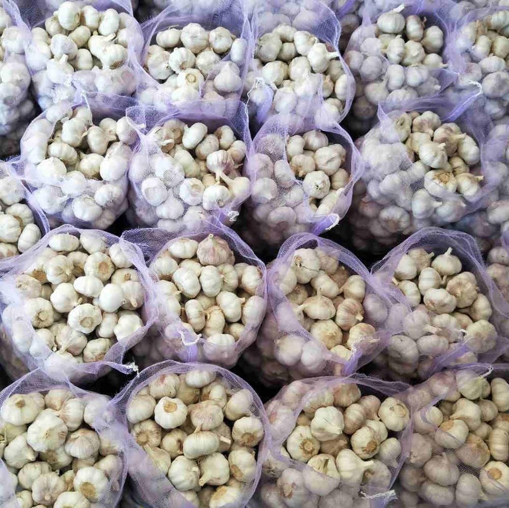 2020 Fresh Natural Garlic Fresh Chinese Garlic Price Precio del AJO