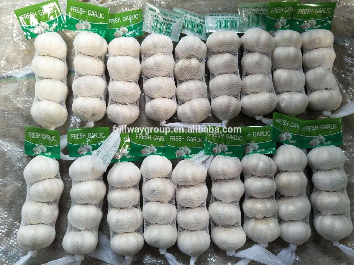 2020 Fresh Natural Garlic Fresh Chinese Garlic Price Precio del AJO