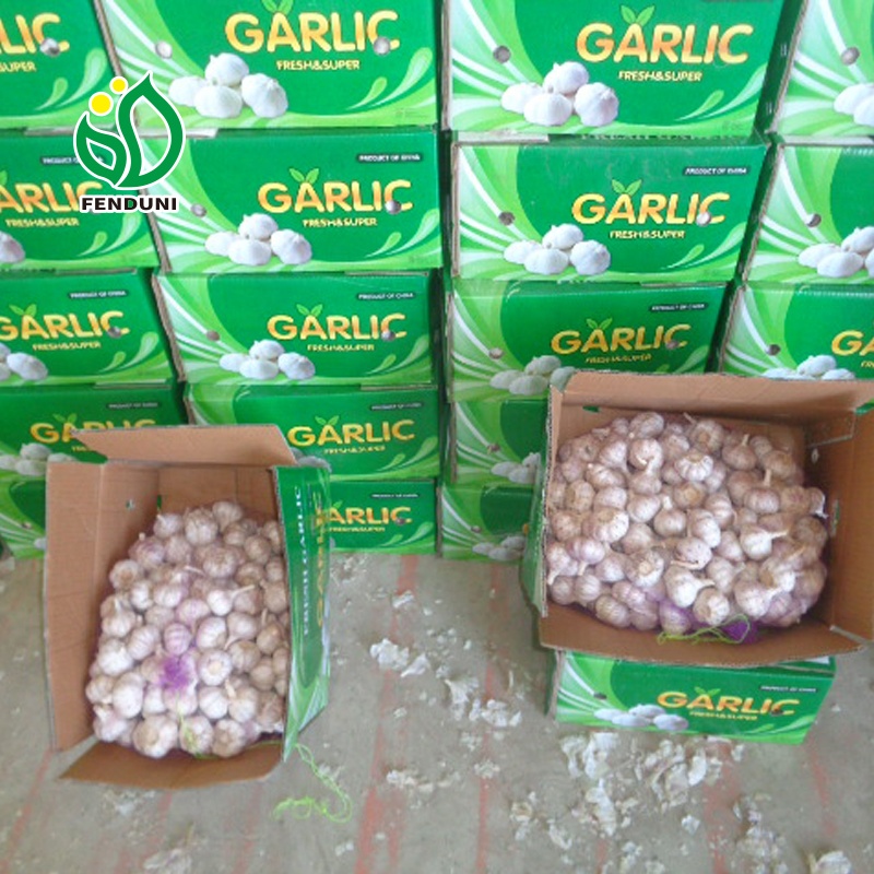 2020 Fresh Natural Garlic Fresh Chinese Garlic Price Precio del AJO