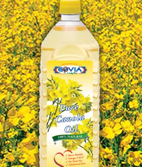 REFINED RAPESEED CANOLA OIL,France price supplier - 21food