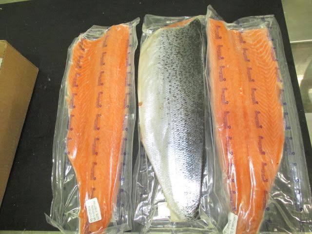 Frozen Salmon Fillets