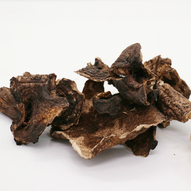 dried mushrooms black wild tiger palm mushroom