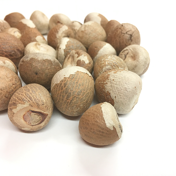 High quality fragrance aftertaste low price bulk areca nut