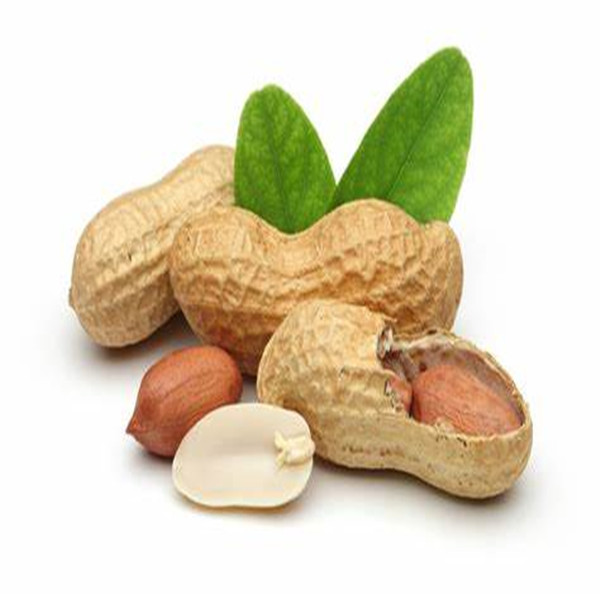 High quality Organic healthy peanut powder without skin removal