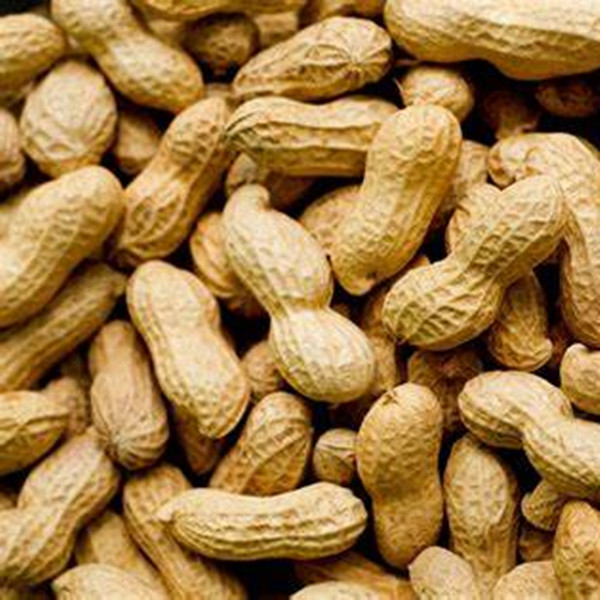 High quality Organic healthy peanut powder without skin removal