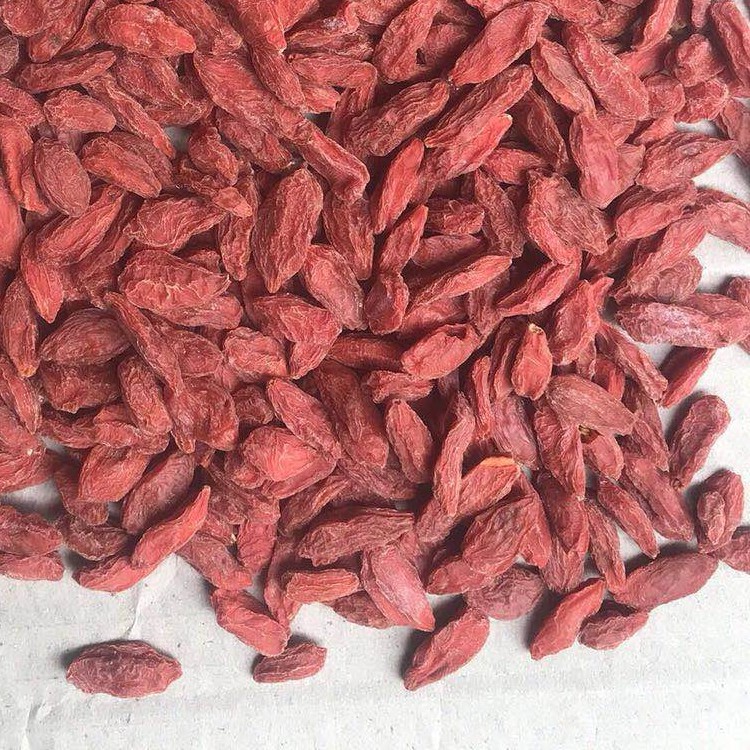 Direct selling of high quality Chinese wolfberry by manufacturers dry fruit